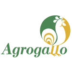 Mesa de trabajo 106_1@72x