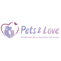 Mesa de trabajo 118_1@72x